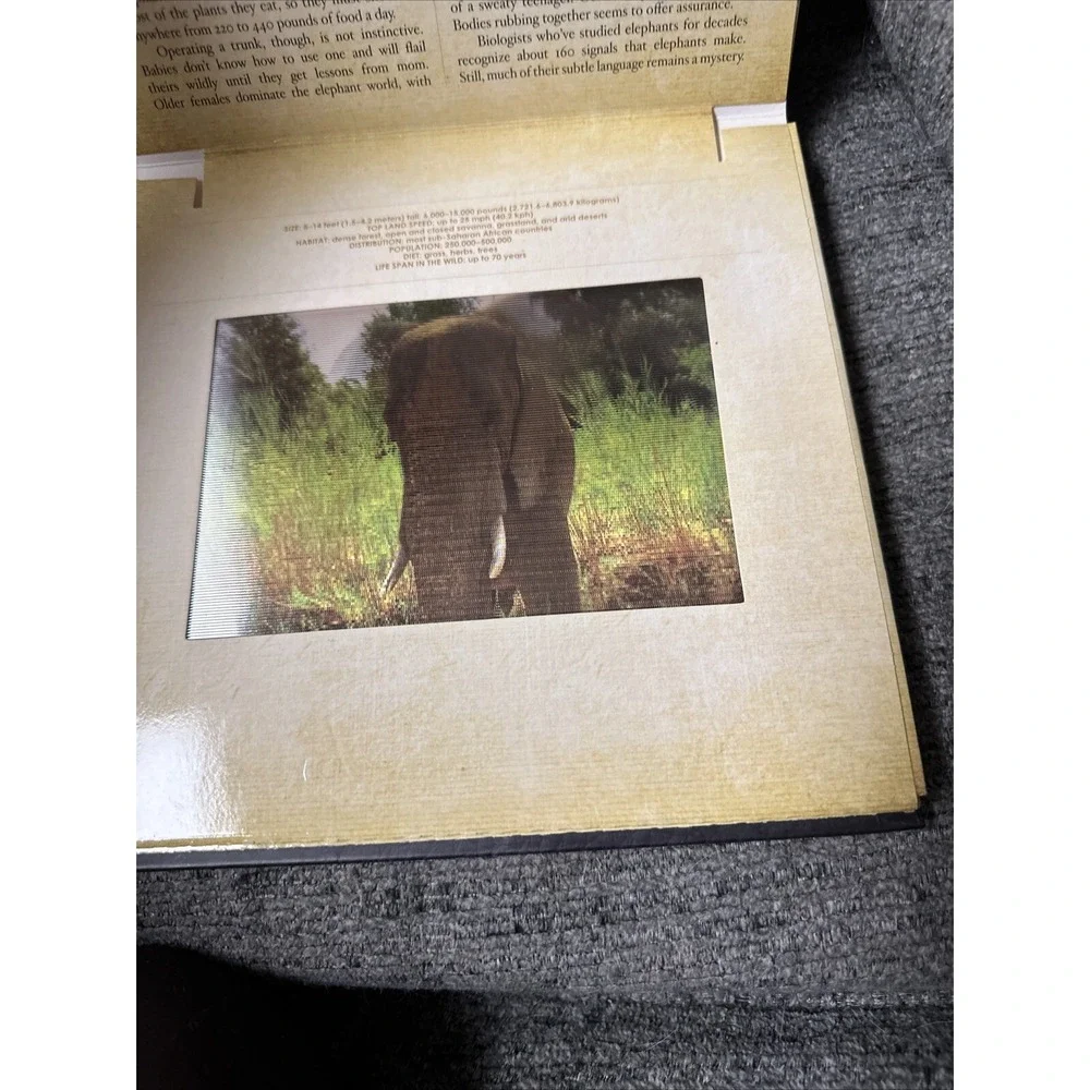 Polar/ Safari Photicular Book  Book Lot Holographic?